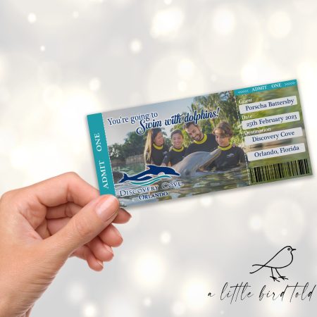 Hand Holding ticket dolphin swim final